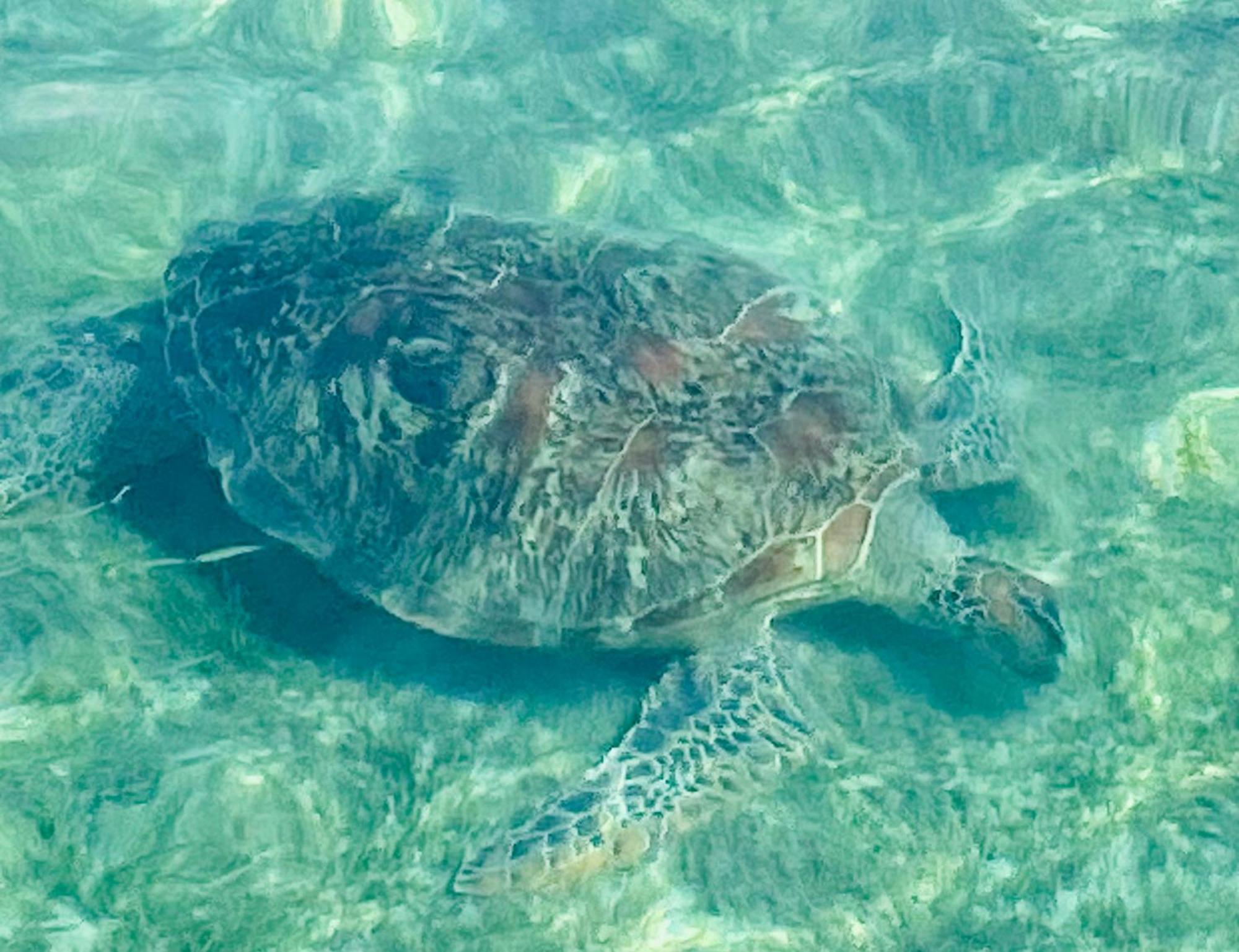 Follow Your Dreams Gili Air Buitenkant foto